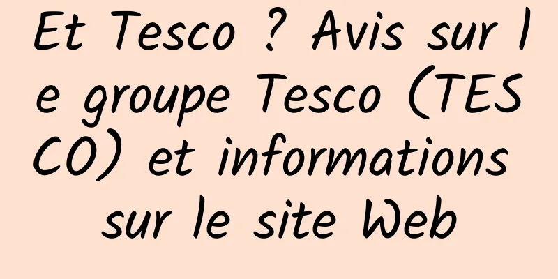 Et Tesco ? Avis sur le groupe Tesco (TESCO) et informations sur le site Web