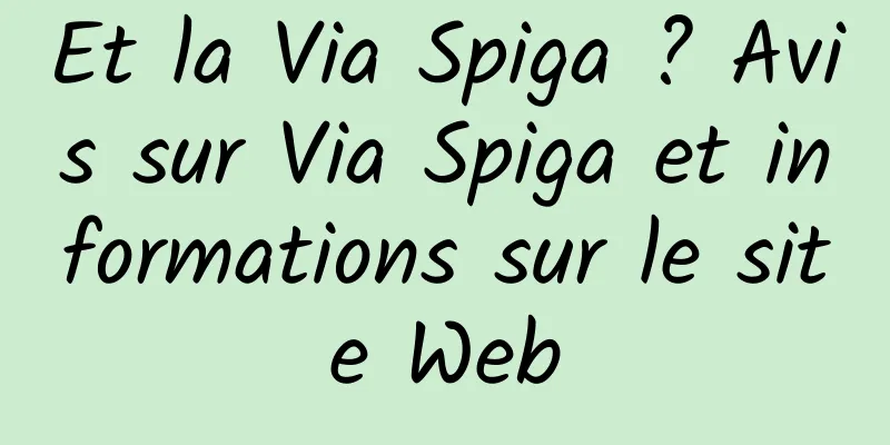 Et la Via Spiga ? Avis sur Via Spiga et informations sur le site Web