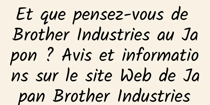 Et que pensez-vous de Brother Industries au Japon ? Avis et informations sur le site Web de Japan Brother Industries