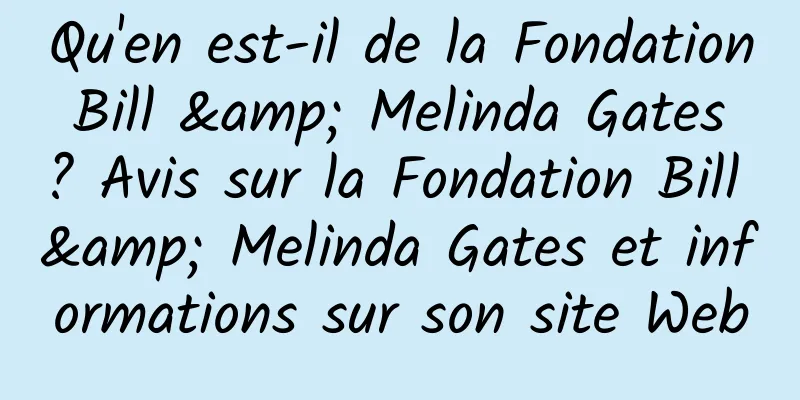 Qu'en est-il de la Fondation Bill & Melinda Gates ? Avis sur la Fondation Bill & Melinda Gates et informations sur son site Web