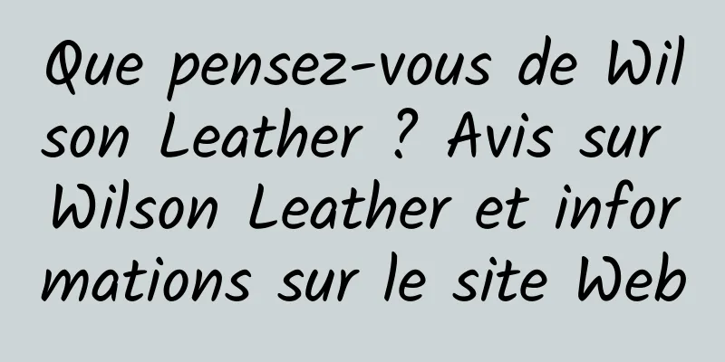 Que pensez-vous de Wilson Leather ? Avis sur Wilson Leather et informations sur le site Web