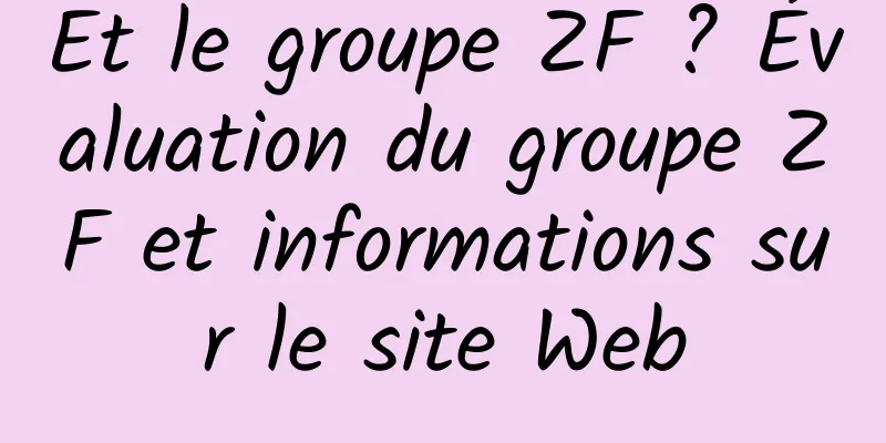 Et le groupe ZF ? Évaluation du groupe ZF et informations sur le site Web