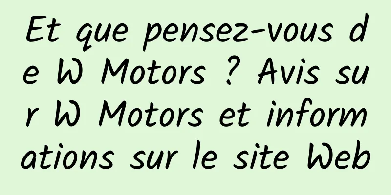 Et que pensez-vous de W Motors ? Avis sur W Motors et informations sur le site Web