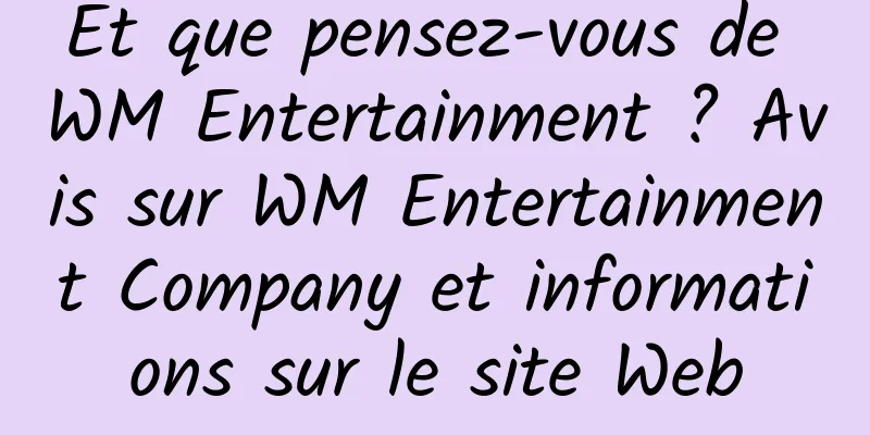 Et que pensez-vous de WM Entertainment ? Avis sur WM Entertainment Company et informations sur le site Web