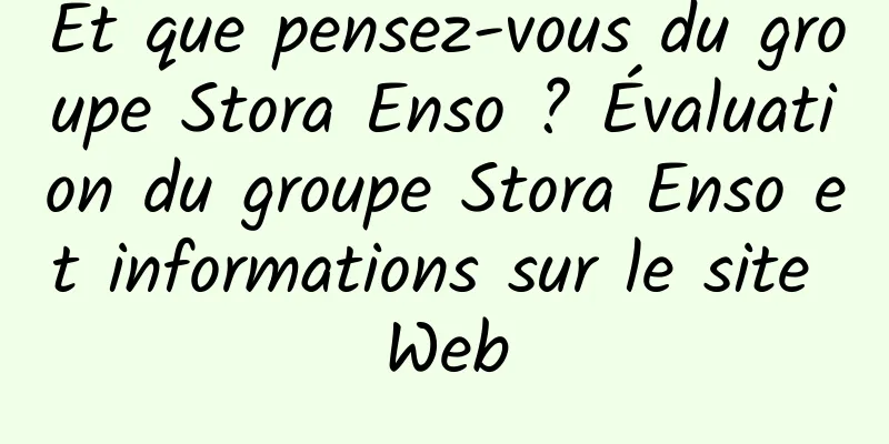Et que pensez-vous du groupe Stora Enso ? Évaluation du groupe Stora Enso et informations sur le site Web