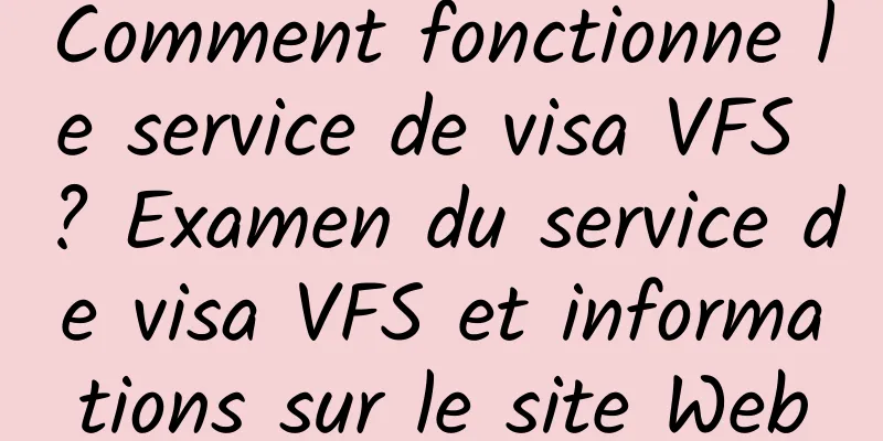 Comment fonctionne le service de visa VFS ? Examen du service de visa VFS et informations sur le site Web