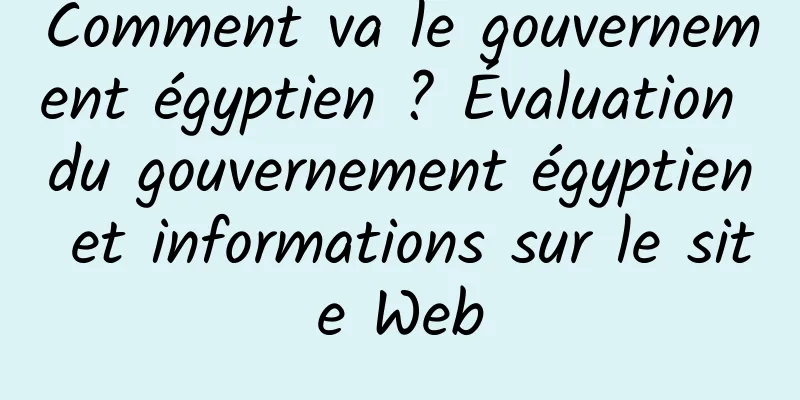 Comment va le gouvernement égyptien ? Évaluation du gouvernement égyptien et informations sur le site Web