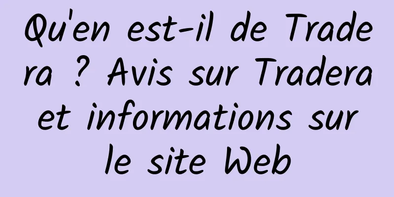 Qu'en est-il de Tradera ? Avis sur Tradera et informations sur le site Web