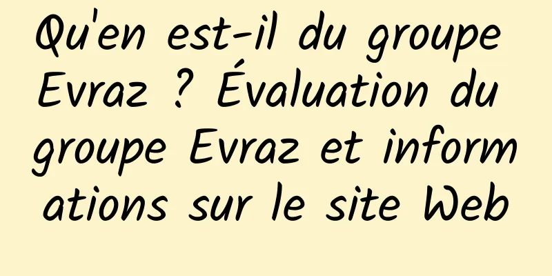 Qu'en est-il du groupe Evraz ? Évaluation du groupe Evraz et informations sur le site Web