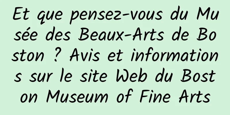 Et que pensez-vous du Musée des Beaux-Arts de Boston ? Avis et informations sur le site Web du Boston Museum of Fine Arts