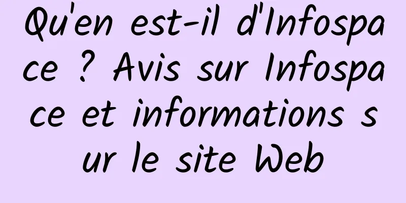 Qu'en est-il d'Infospace ? Avis sur Infospace et informations sur le site Web