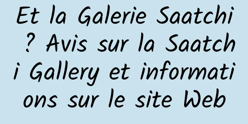 Et la Galerie Saatchi ? Avis sur la Saatchi Gallery et informations sur le site Web