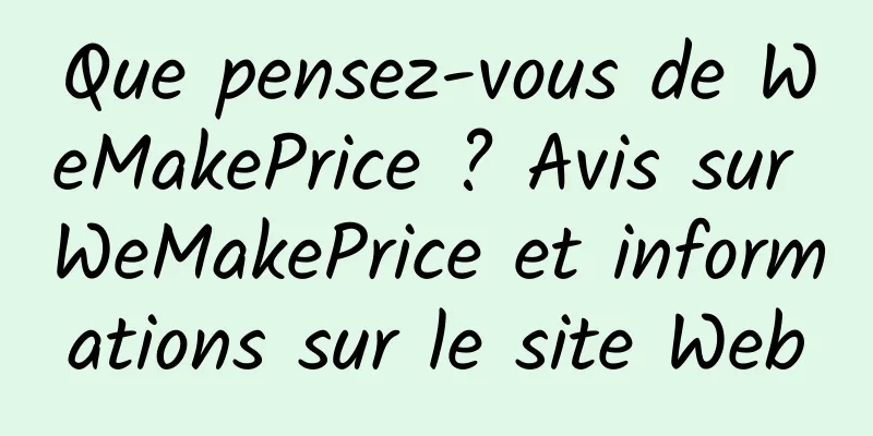 Que pensez-vous de WeMakePrice ? Avis sur WeMakePrice et informations sur le site Web