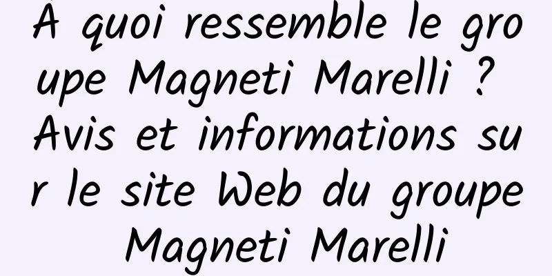 À quoi ressemble le groupe Magneti Marelli ? Avis et informations sur le site Web du groupe Magneti Marelli