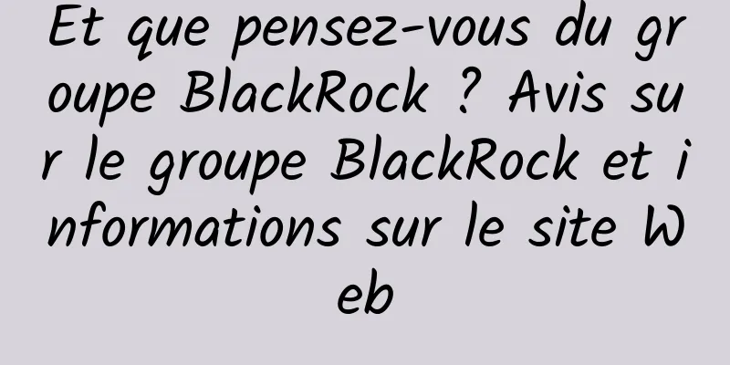 Et que pensez-vous du groupe BlackRock ? Avis sur le groupe BlackRock et informations sur le site Web