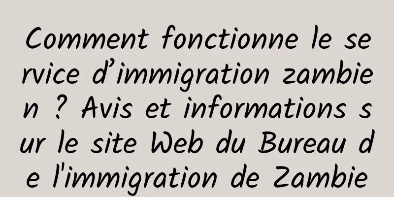 Comment fonctionne le service d’immigration zambien ? Avis et informations sur le site Web du Bureau de l'immigration de Zambie