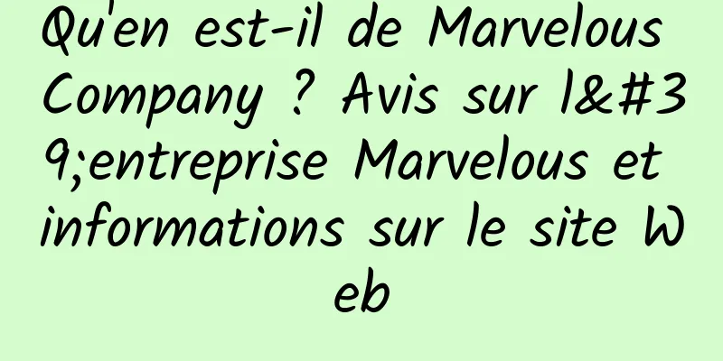 Qu'en est-il de Marvelous Company ? Avis sur l'entreprise Marvelous et informations sur le site Web