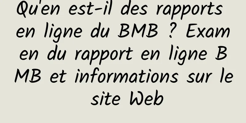 Qu'en est-il des rapports en ligne du BMB ? Examen du rapport en ligne BMB et informations sur le site Web
