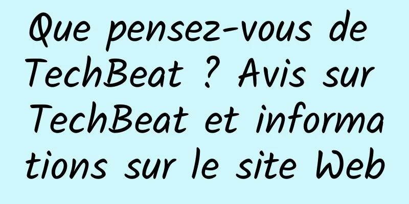 Que pensez-vous de TechBeat ? Avis sur TechBeat et informations sur le site Web