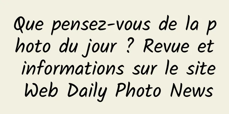 Que pensez-vous de la photo du jour ? Revue et informations sur le site Web Daily Photo News