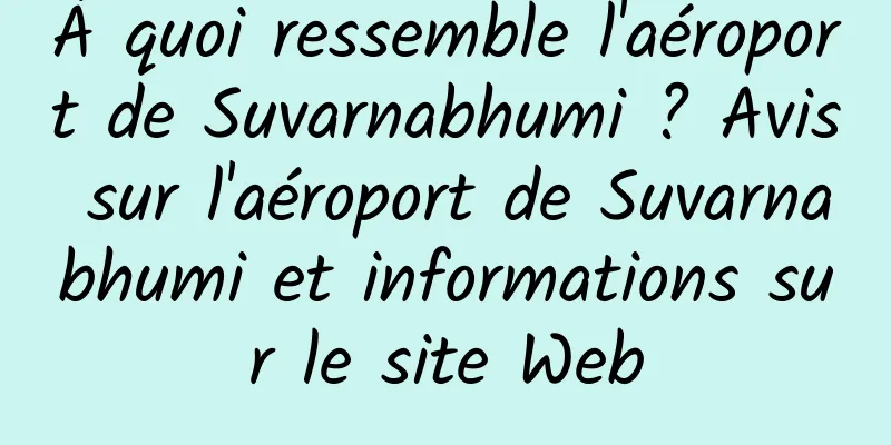 À quoi ressemble l'aéroport de Suvarnabhumi ? Avis sur l'aéroport de Suvarnabhumi et informations sur le site Web