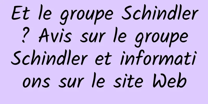Et le groupe Schindler ? Avis sur le groupe Schindler et informations sur le site Web