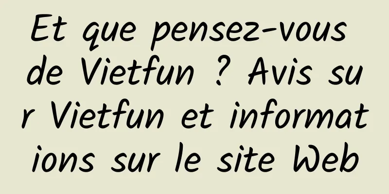 Et que pensez-vous de Vietfun ? Avis sur Vietfun et informations sur le site Web