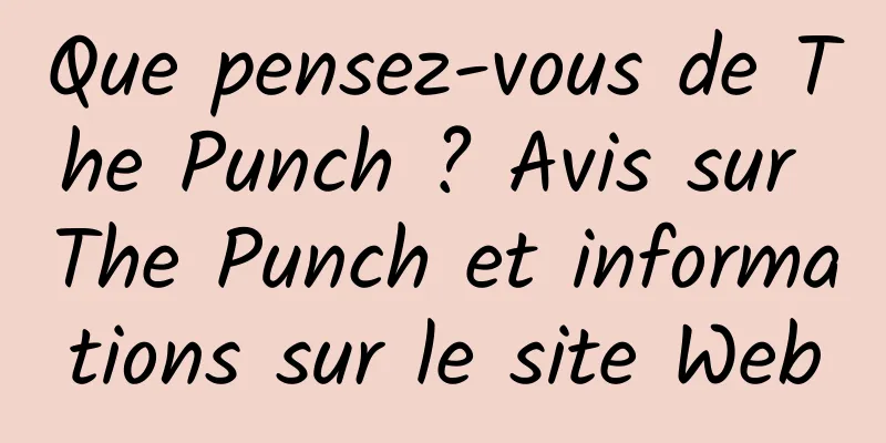 Que pensez-vous de The Punch ? Avis sur The Punch et informations sur le site Web