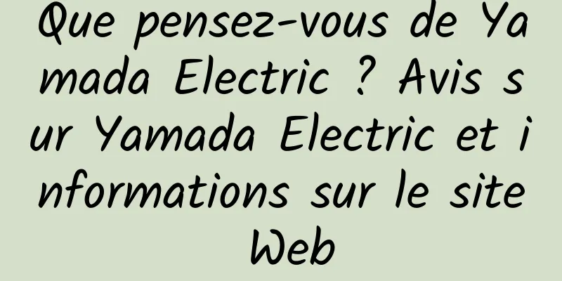 Que pensez-vous de Yamada Electric ? Avis sur Yamada Electric et informations sur le site Web