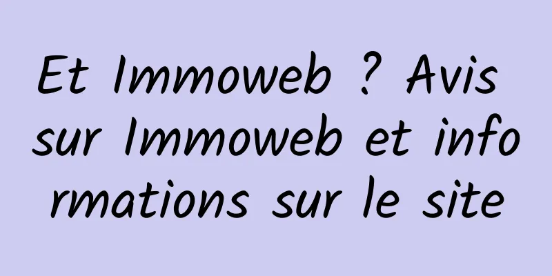 Et Immoweb ? Avis sur Immoweb et informations sur le site