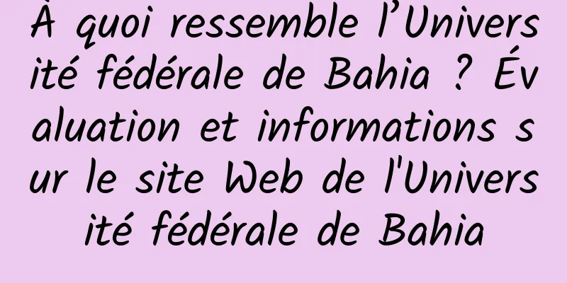 À quoi ressemble l’Université fédérale de Bahia ? Évaluation et informations sur le site Web de l'Université fédérale de Bahia