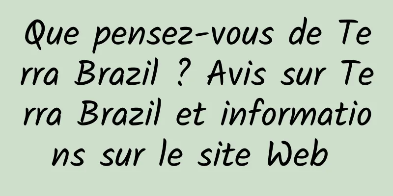 Que pensez-vous de Terra Brazil ? Avis sur Terra Brazil et informations sur le site Web 