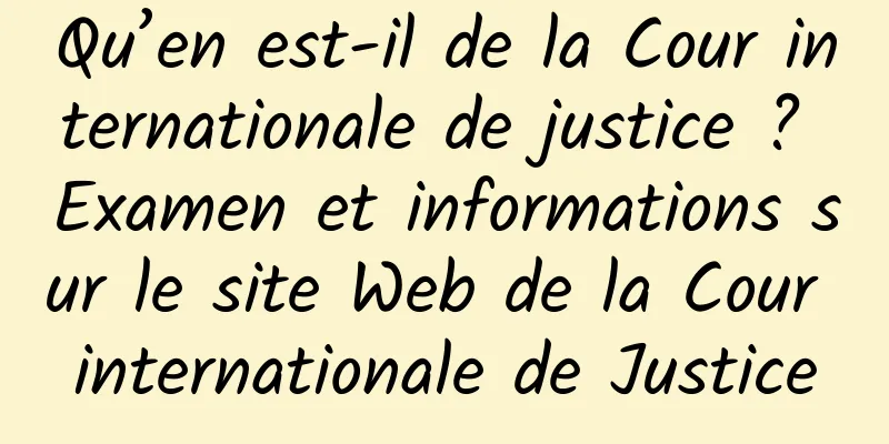 Qu’en est-il de la Cour internationale de justice ? Examen et informations sur le site Web de la Cour internationale de Justice