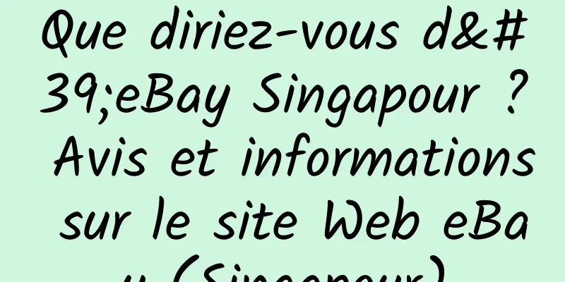 Que diriez-vous d'eBay Singapour ? Avis et informations sur le site Web eBay (Singapour)