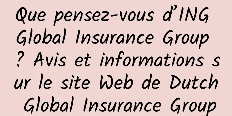 Que pensez-vous d’ING Global Insurance Group ? Avis et informations sur le site Web de Dutch Global Insurance Group
