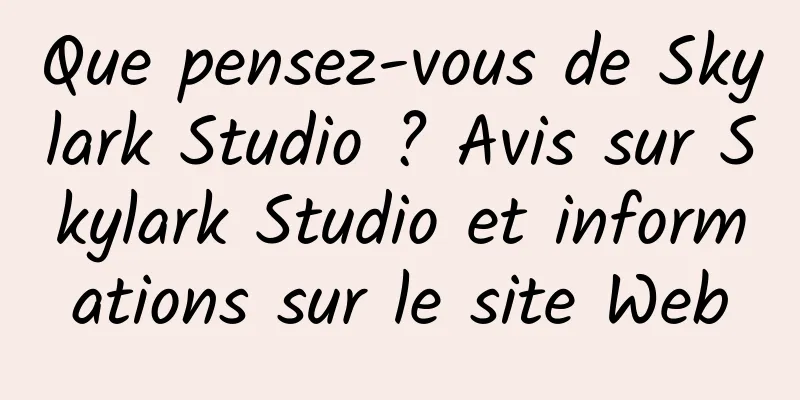 Que pensez-vous de Skylark Studio ? Avis sur Skylark Studio et informations sur le site Web