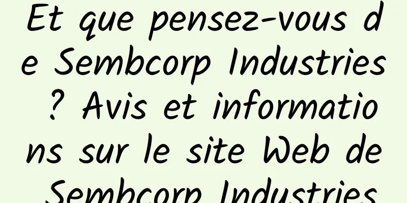 Et que pensez-vous de Sembcorp Industries ? Avis et informations sur le site Web de Sembcorp Industries