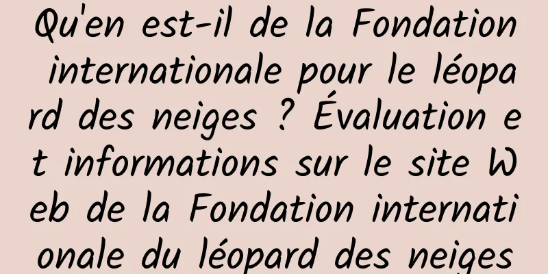 Qu'en est-il de la Fondation internationale pour le léopard des neiges ? Évaluation et informations sur le site Web de la Fondation internationale du léopard des neiges
