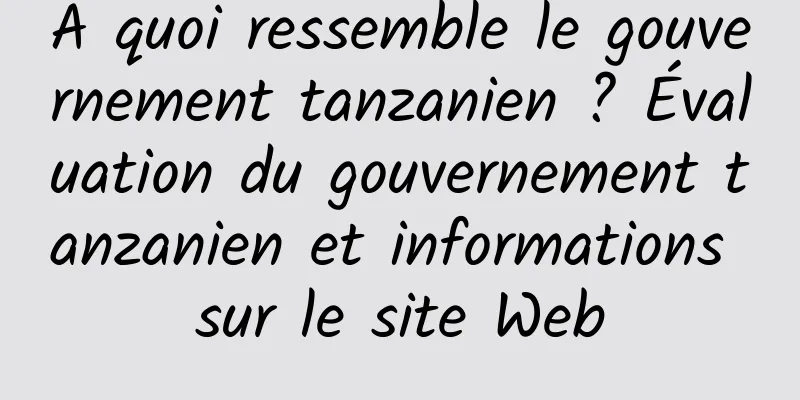 À quoi ressemble le gouvernement tanzanien ? Évaluation du gouvernement tanzanien et informations sur le site Web