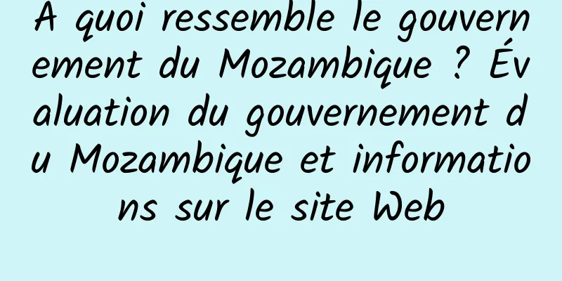 À quoi ressemble le gouvernement du Mozambique ? Évaluation du gouvernement du Mozambique et informations sur le site Web