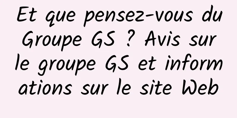 Et que pensez-vous du Groupe GS ? Avis sur le groupe GS et informations sur le site Web