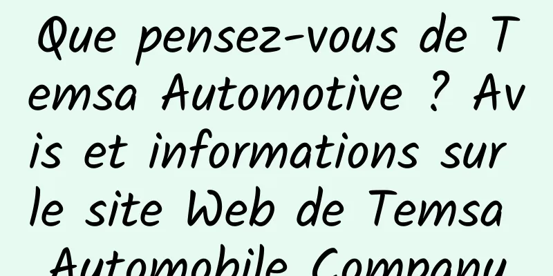 Que pensez-vous de Temsa Automotive ? Avis et informations sur le site Web de Temsa Automobile Company