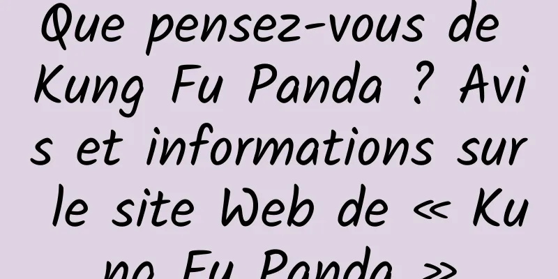 Que pensez-vous de Kung Fu Panda ? Avis et informations sur le site Web de « Kung Fu Panda »
