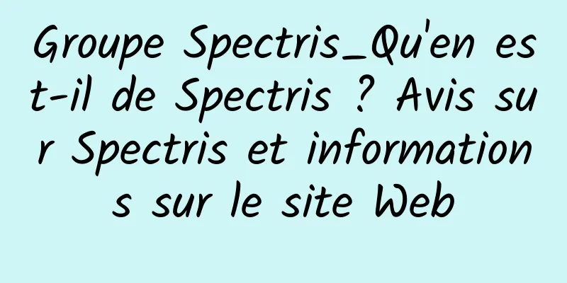 Groupe Spectris_Qu'en est-il de Spectris ? Avis sur Spectris et informations sur le site Web