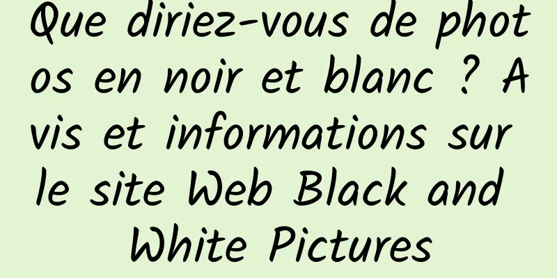 Que diriez-vous de photos en noir et blanc ? Avis et informations sur le site Web Black and White Pictures