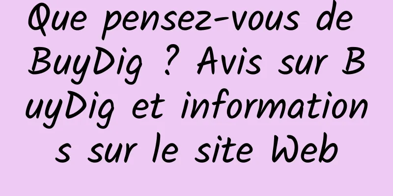 Que pensez-vous de BuyDig ? Avis sur BuyDig et informations sur le site Web