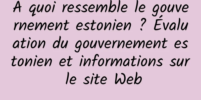 À quoi ressemble le gouvernement estonien ? Évaluation du gouvernement estonien et informations sur le site Web