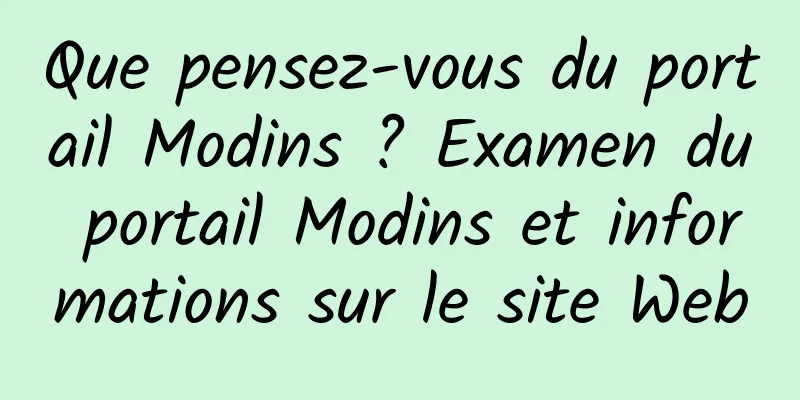 Que pensez-vous du portail Modins ? Examen du portail Modins et informations sur le site Web