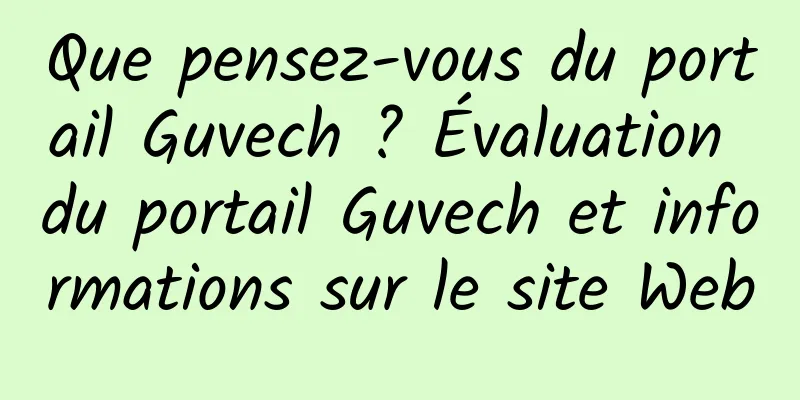 Que pensez-vous du portail Guvech ? Évaluation du portail Guvech et informations sur le site Web