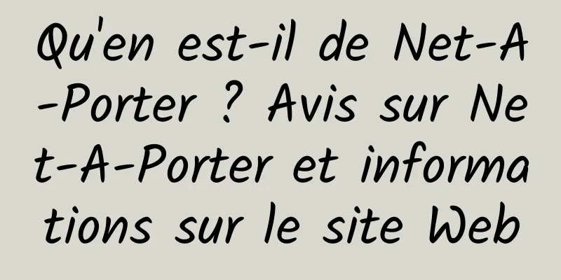 Qu'en est-il de Net-A-Porter ? Avis sur Net-A-Porter et informations sur le site Web